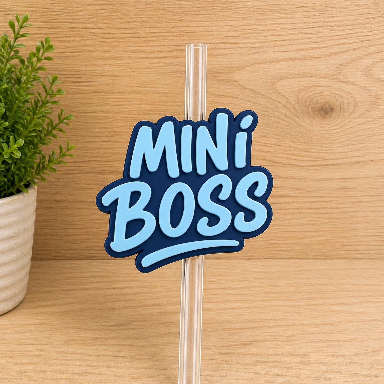 Straw Toppers | Colour options available